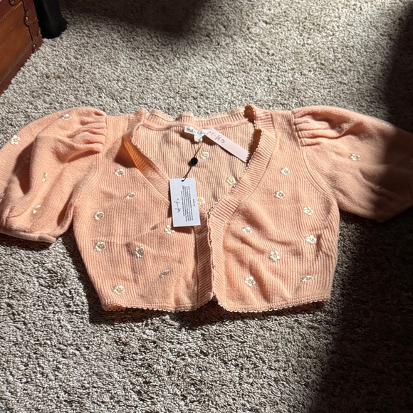 For Love And Lemons Sweaters - For Love And Lemons Blush Knit Top